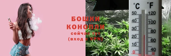 шишки Алексеевка