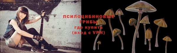 шишки Алексеевка