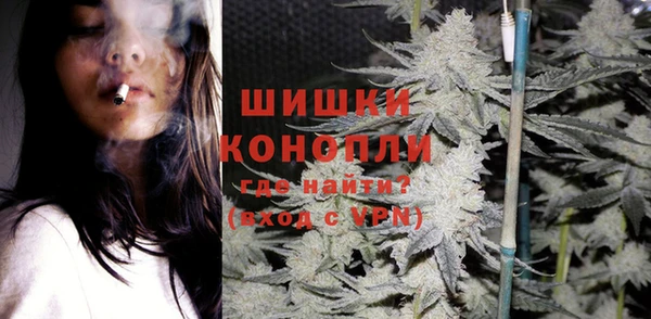 гидропоника Алзамай