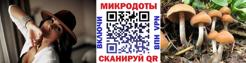 Псилоцибиновые грибы прущие грибы мориарти клад Анадырь магазин продажи